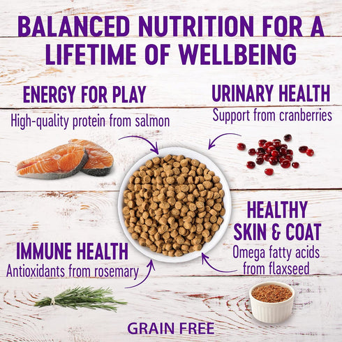 Wellness Natural Pet Food Complete Health Grain-Free Indoor Healthy Weight Chicken & turkey meal Recipe Dry Cat Food, 5.5 Pound Bag