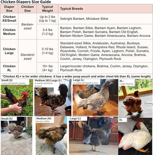 1, Count) Chicken Diapers Duck Diaper Bird Diapers Diaperalls for Hens, Roosters, Ducks, Ducklings, Birds, Pigeons