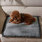 Kritter Planet Waterproof Puppy Blanket for Small Dogs, Pee Proof Sherpa Fleece, Reversible Cover for Couch and Bed