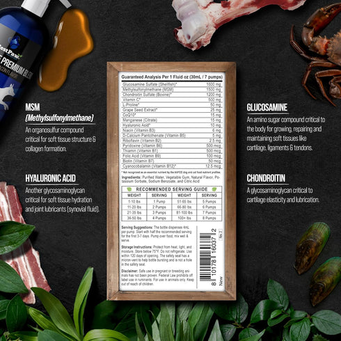 16 oz Best Paw Nutrition Liquid Glucosamine for Cats - Glucosamine Chondroitin MSM & Hyaluronic Acid Joint Supplement