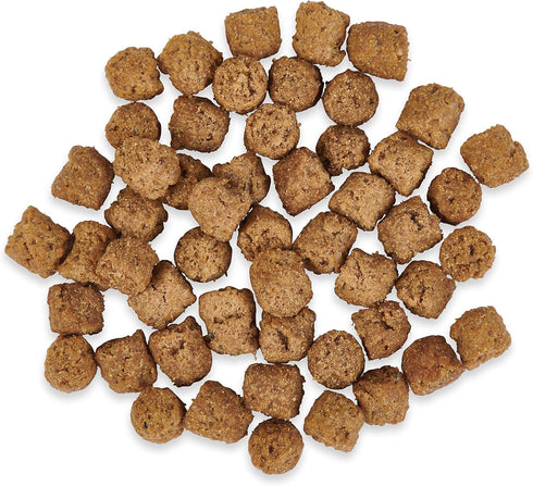 Ketona Salmon Recipe Adult Dry Dog Food, Natural, Low Carb (5%), High Protein (46%), Grain-Free, 4.2 lb