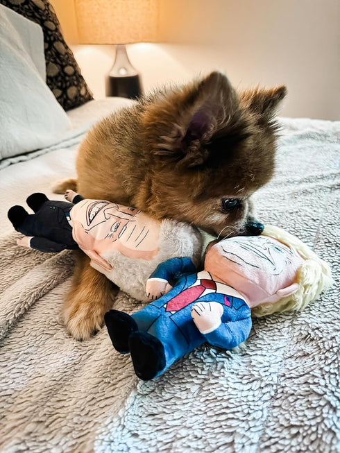 8" Plush Donald Trump Squeak Dog Toy - Hilarious Political Chew Toy for Dogs & Cats, Perfect for Fetching & Cuddling