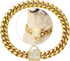 PRADOG Gold Chain Dog Collar, Stainless Steel Cuban Link Collar with Zirconia Buckle, Designer Bling Puppy Necklace
