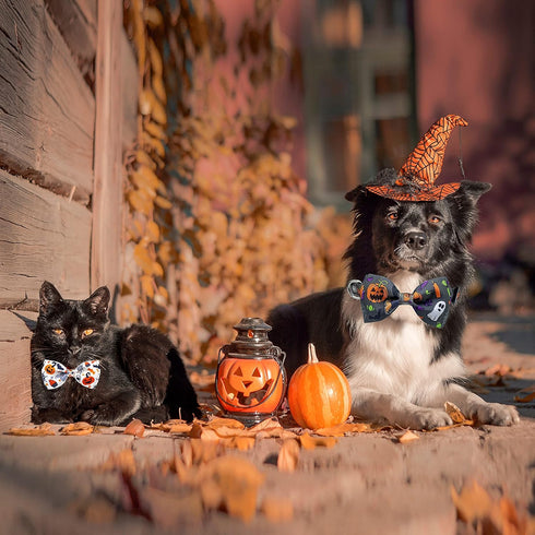 2 Pack Halloween Dog Collar with Bowtie - Holiday Jack-O-Lantern and Pumpkin Collar for Small Medium Large Dogs