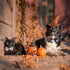 2 Pack Halloween Dog Collar with Bowtie - Holiday Jack-O-Lantern and Pumpkin Collar for Small Medium Large Dogs