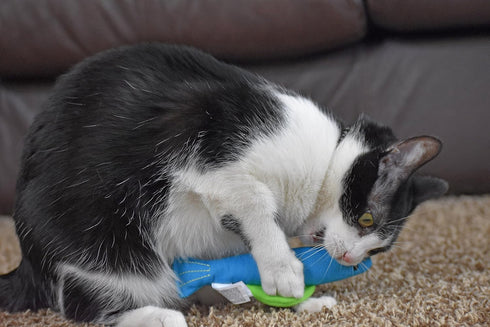 OurPets 100% North American Catnip Filled Fish Cat Toy, Interactive Chew Toy, Annette