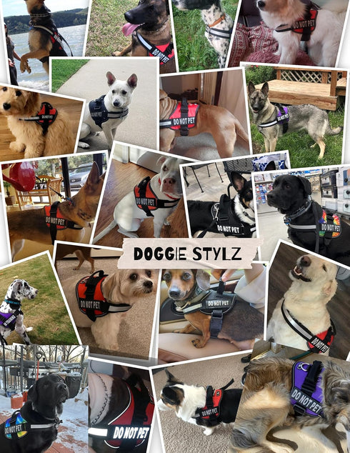 Doggie Stylz Dog Harness with DO NOT PET Patches – No Pull Service Dog Vest, Adjustable, Reflective, Heavy-Duty