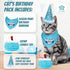 Cat Birthday Boy Party Pack, Bandana, Star Spangled Blue Party Hat, Catnip Birthday Cake Toy