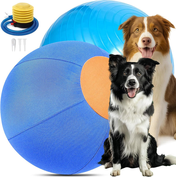 Herding Ball for Dogs, 25-Inch Giant Fun Play Toy for Large &