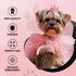 Dog Diggin Designs Runway Pup Collection, Unique Squeaky Plush Dog Toys – Haute Couture Purses
