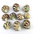 10PC Natural Green Hermit Crab Shells, Turbo Sea Shell for Hermit Crab Supplies Decor