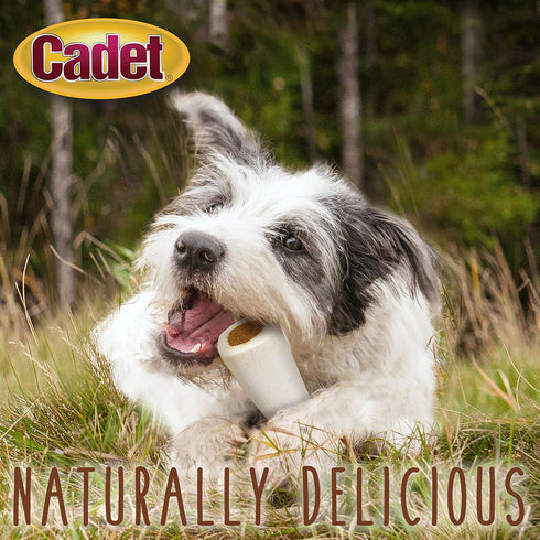 Cadet Junior Stuffed Shin Bones - Mini (2 Count) - Peanut Butter Flavor, Highly Digestible, High Protein Dog Chew Bone