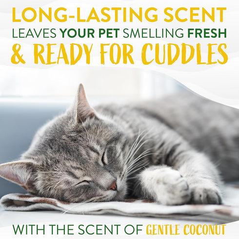 TropiClean Coconut Hypoallergenic Cat Shampoo | Gentle Kitten Shampoo for Sensitive Skin | 12 oz