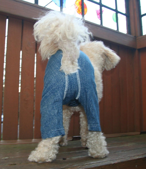 Blue Dog Pants - E-Collar Alternative for X-Small Dogs