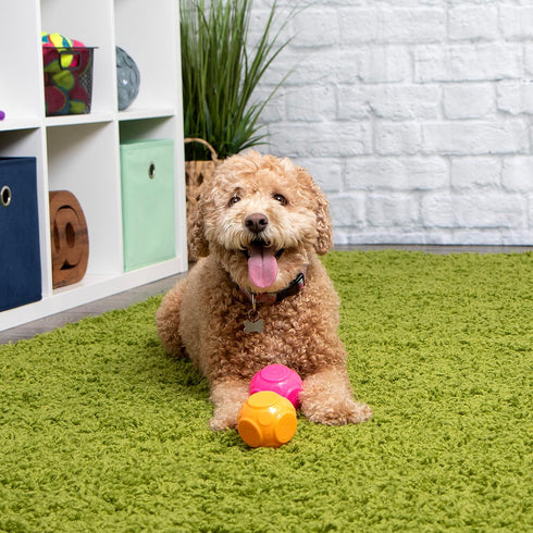 goDog 2-Pack Silent Squeak Ball Dog Toy Set - For Light to Moderate Chewers, Orange/Pink