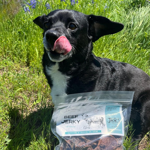 100% (10 JACK'S PREMIUM Beef Jerky Dog Treats - Dehydrated Beef - Human Grade - Single Ingredient - Made in The USA