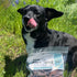 100% (10 JACK'S PREMIUM Beef Jerky Dog Treats - Dehydrated Beef - Human Grade - Single Ingredient - Made in The USA