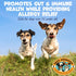 Pack (239g) Approved Dog Peanut Butter - Aids Dog Itching Skin Relief & Allergy Support with Colostrum - Contains