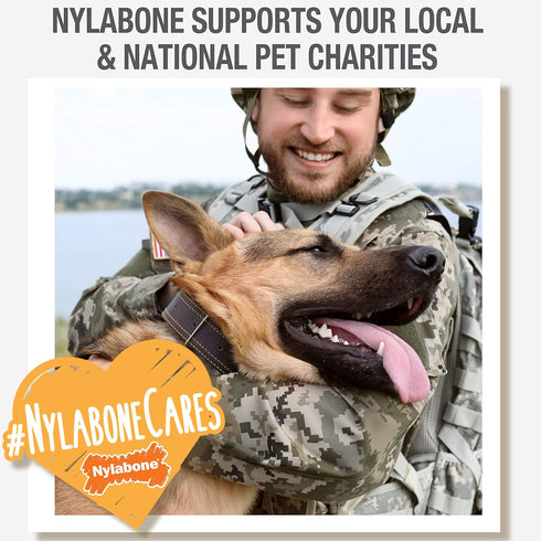 Nylabone Nubz WILD Natural Edible Chew Treats for Dogs, Bison Flavor, Small - Up to 25 lbs. (4 Count)