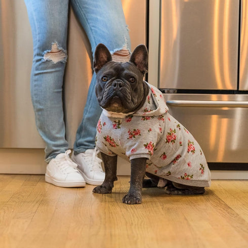 Blueberry Pet Floral Dog Hoodie, Rose Print Pullover Sweatshirt for Small Dogs, 10" Back Length, Stylish Grey