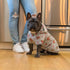 Blueberry Pet Floral Dog Hoodie, Rose Print Pullover Sweatshirt for Small Dogs, 10" Back Length, Stylish Grey