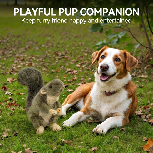 ALL FOR PAWS Interactive Dog Squirrel Plush Squeaky Toy, Perfect Puppy Enrichment Toy, Large