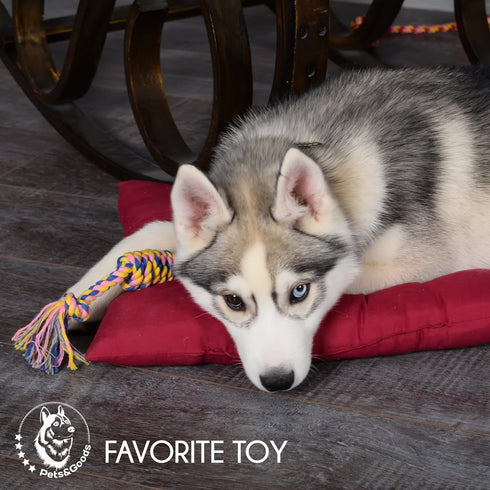 Dog Chew Toys - Puppy Teething Rope Toy Set for Small Dogs, Washable Cotton Tug Toys