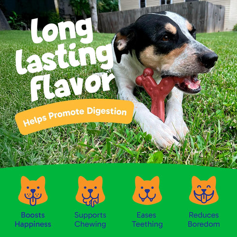 Chew'ems Durable Chew Toys for Small Dogs - Long-Lasting & Flavorful Chicken-Flavored Chew Dog Toys