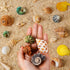 16PCS Medium Small Hermit Crab Shells, Sea Conch Size 1.1" - 2.4" for Natural Hermit Crab Supplies