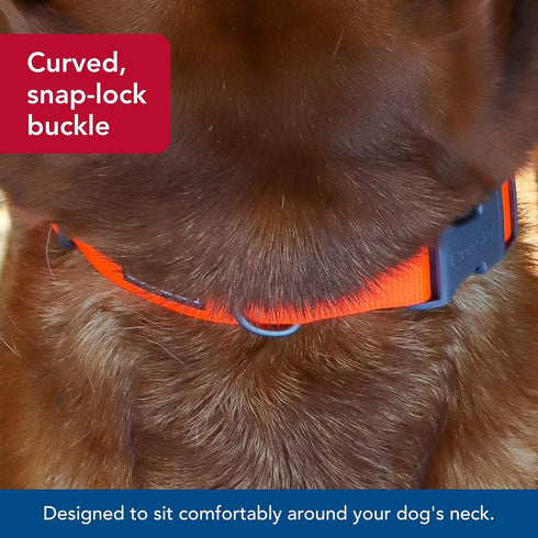 Coastal Pet - Adjustable Dog Collar Water & Woods - Durable Patterned Collar with Curved Snap Lock Buckle - Safety