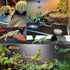 Bearded Dragon Tank Accessories, Non-Adhesive Reptile Carpet Bedding, 18x40 in for Leopard Gecko, Snake, Lizard,