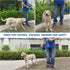 Dog Leash 6ft, Double Handle with Padded Handle, Reflective Double Loop for Large Medium Dog Control Safety Training,