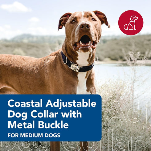 Coastal Pet Adjustable Dog Collar with Metal Buckle, Comfortable Fade-Resistant Collar for Walking & Tie Outs, Black,