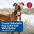 Coastal Pet Adjustable Dog Collar with Metal Buckle, Comfortable Fade-Resistant Collar for Walking & Tie Outs, Black,