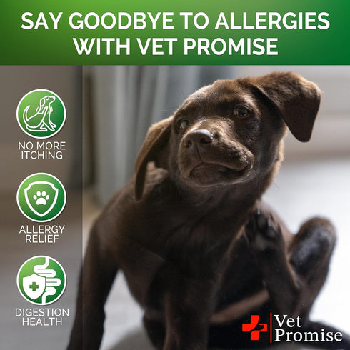 Vet Promise Dog Allergy Chews - Itch Relief for Dogs, Anti Itch for Dogs, Hot Spots, Immune Health Supplement