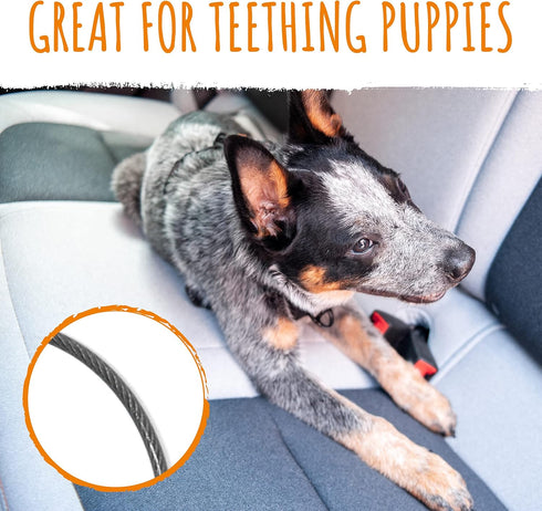 Mighty Paw Dog Seat Belt Vehicle - Chew-Proof Dog Belt with Aviation Aluminum Carabiner for Teething Puppies