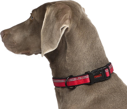 HALTI Comfort Collar - Nylon and Neoprene-Padded Dog Collar, Reflective, Easy to Fit, Medium Dogs and Puppies (Size M,