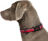 HALTI Comfort Collar - Nylon and Neoprene-Padded Dog Collar, Reflective, Easy to Fit, Medium Dogs and Puppies (Size M,