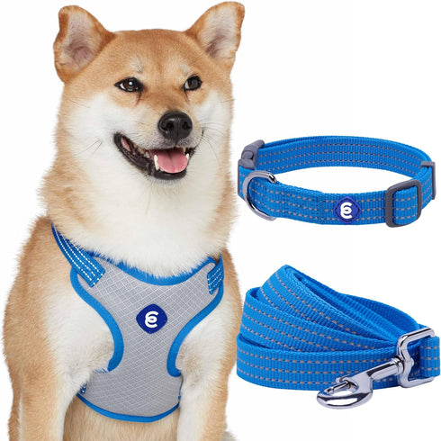 Blueberry Pet Essentials Reflective Matching Dog Collar Leash Harness Set, Adjustable Collar with Harness & 5 ft Leash