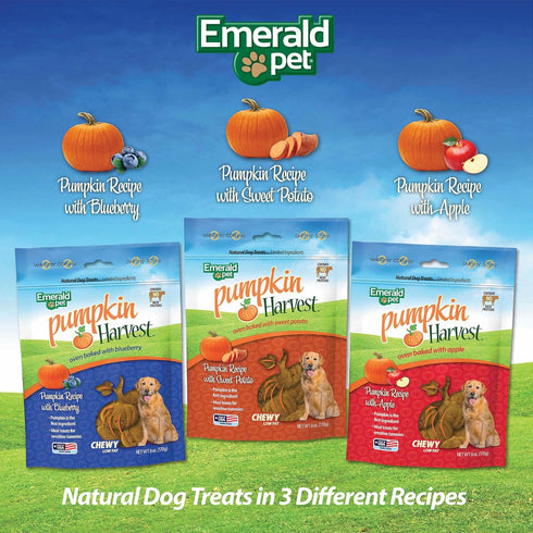 Emerald Pet Pumpkin Harvest Dog Treats - Low-Fat Chewy Natural Treats for Digestive Health, 6 oz