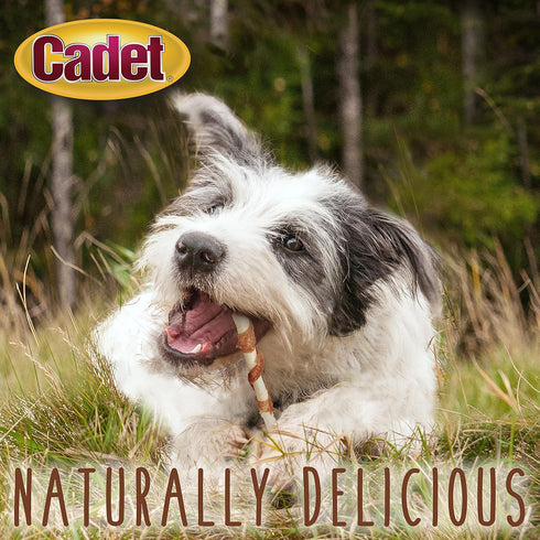 5-Inch 50 Count Cadet Gourmet Beef Hide Twist Chew Sticks, Long-Lasting and Natural Rawhide Chews for Dogs, Inspected