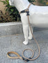 Slip Lead Dog Leash (6ft) - Strong Nylon Rope Anti-Choking Anti-Pull Outdoor Walking Training Lead for Small Medium