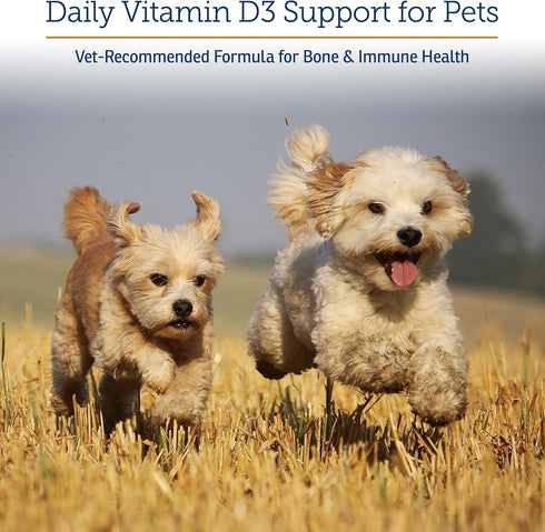 D3 D3 Immune D3-2oz Rx Vitamins Rx - Cat & Dog Vitamins Liquid Drops in MCT Oil - Vitamin D for Dogs & Cats to Manage