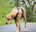 Tuff Mutt Dog Harness for Medium & Large Breeds, Easy On Easy Off with No Pull Front Chest Clip