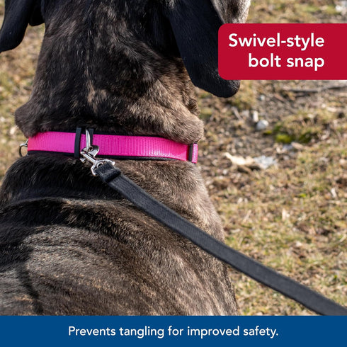 Coastal Pet Train Right Cotton Web Dog Training Leash - Red, 5/8" x 10' - Durable 100% Cotton Leash for Dogs & Puppies