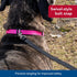 Coastal Train Right Cotton Web Dog Training Leash – Red – 5/8" x 15'