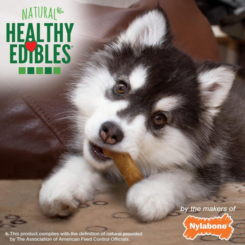 Nylabone Healthy Edibles Natural Puppy Chews, Long Lasting Treats for Puppies, Lamb & Apple Flavor