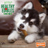 Nylabone Healthy Edibles Natural Puppy Chews, Long Lasting Treats for Puppies, Lamb & Apple Flavor