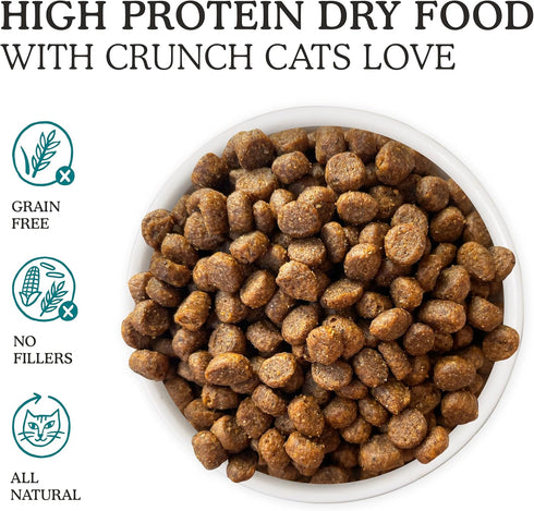 6.5lb Cat Person, Salmon and Tuna Dry Cat Food, Bag