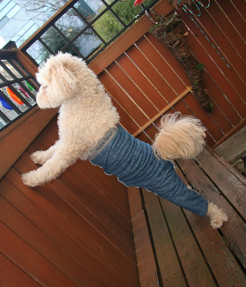 Blue Dog Pants - E-Collar Alternative for X-Small Dogs